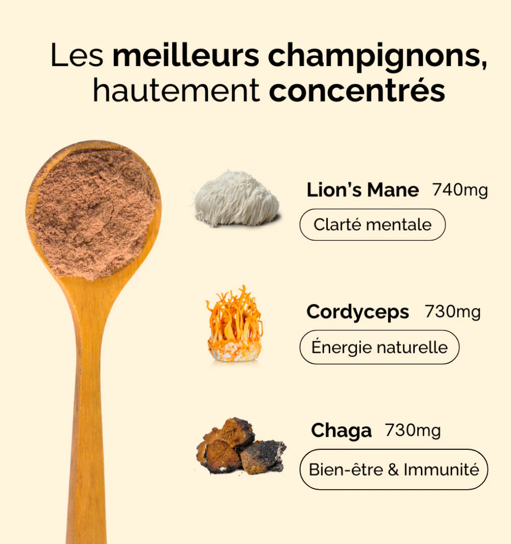 Café Bonjour