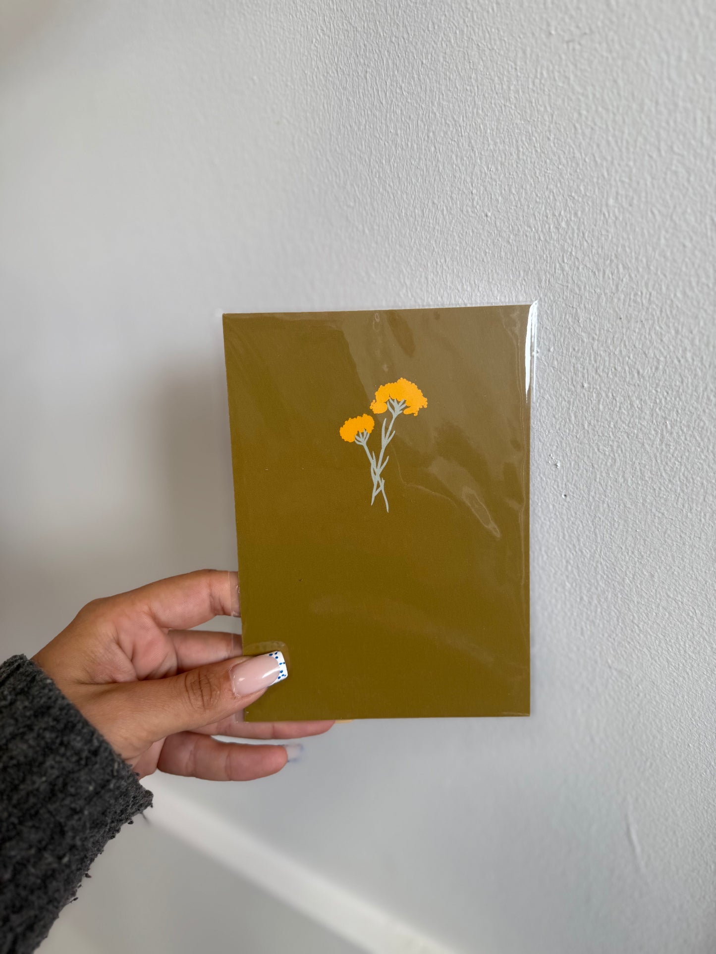 Cartes postales - Immortelle