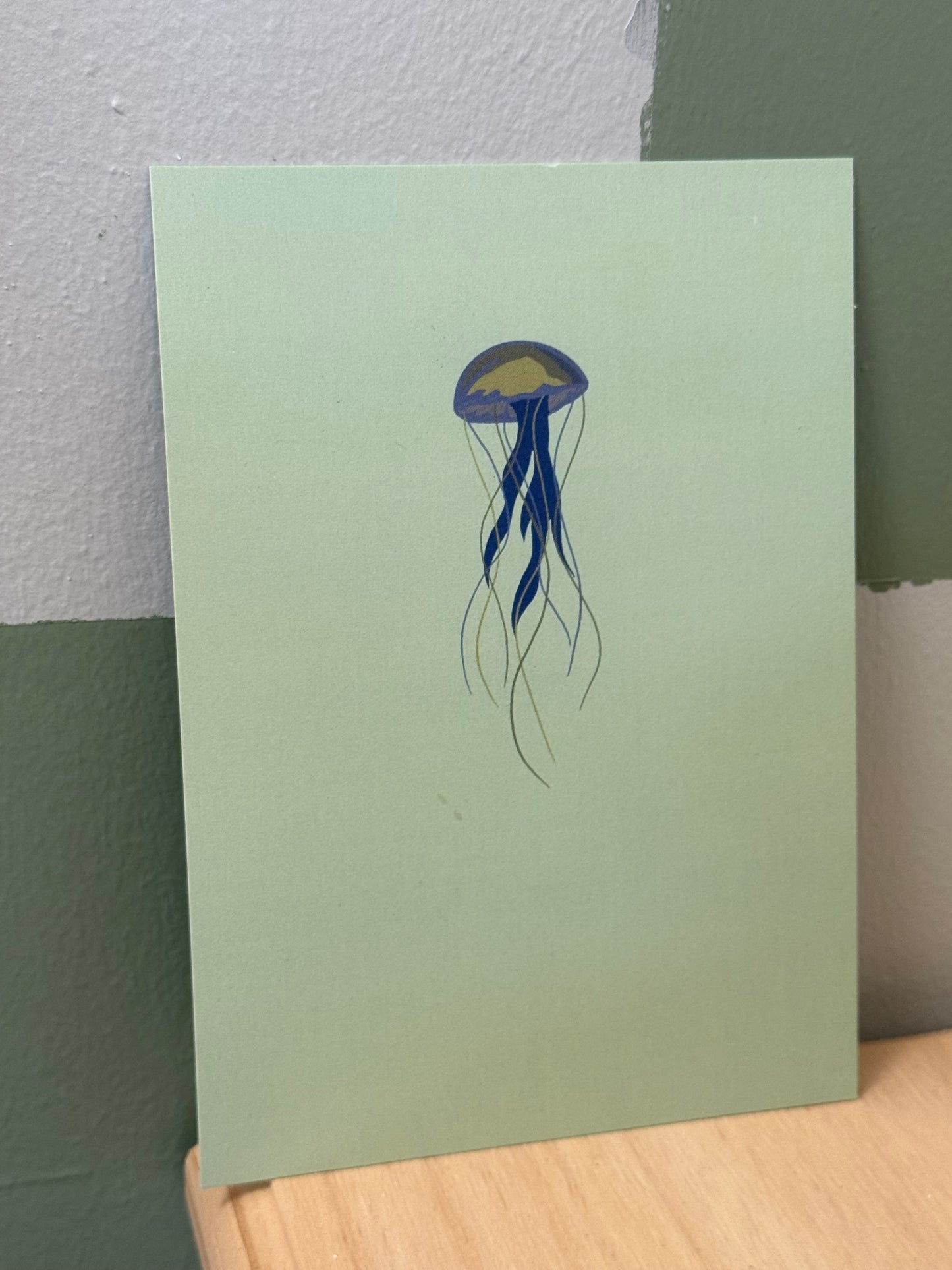 Carte postale - méduse