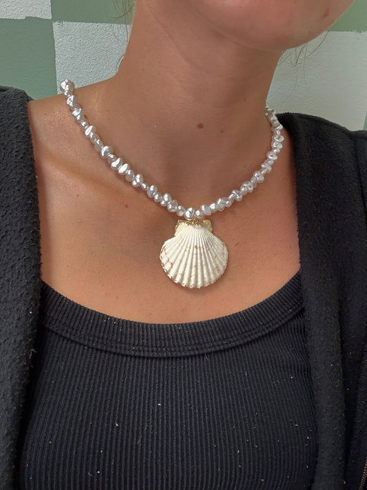 Collier coquillage